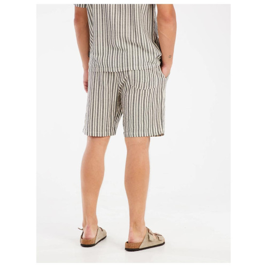 Protest Ανδρικό σορτς PRTGriston Striped shorts